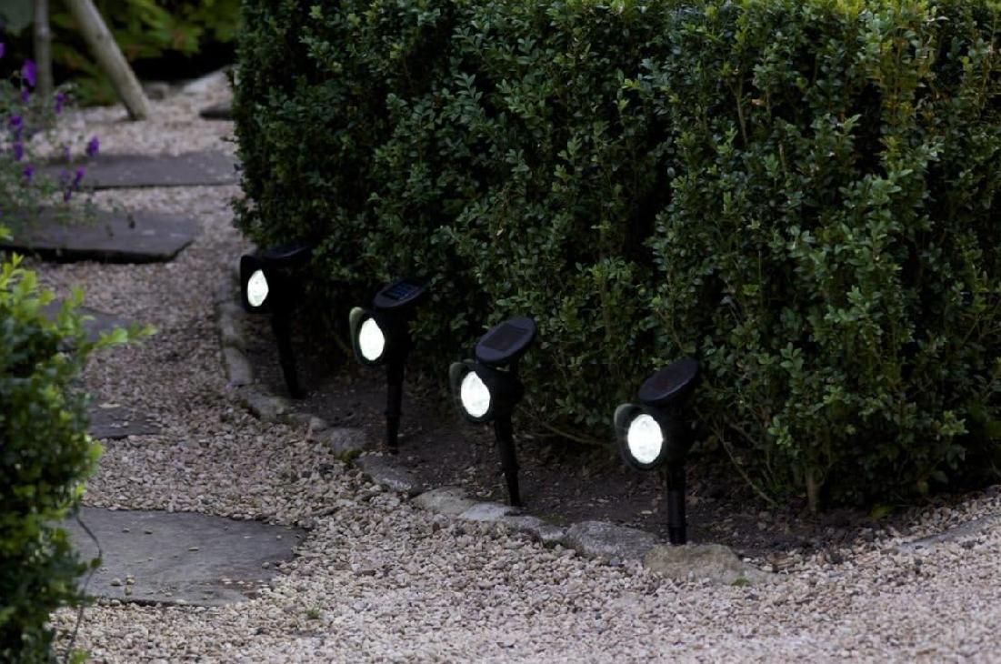 2b20ea7d073df3d1eba9889e913e3e66 2b20ea7d073df3d1eba9889e913e3e66